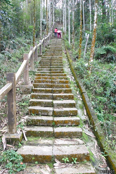 魚池尖登山步道