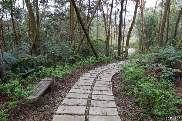 魚池尖登山步道