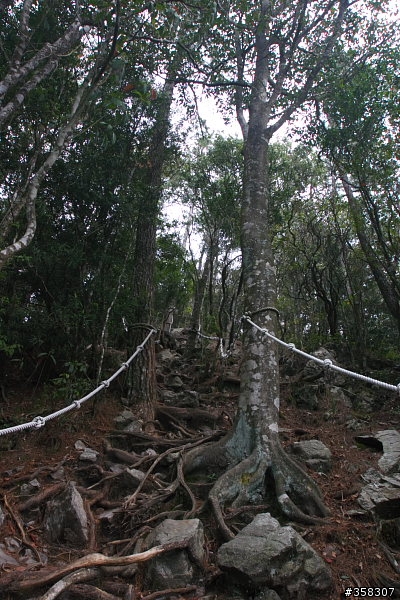 和平:小百岳~稍來山、鳶嘴山、稍來南峰