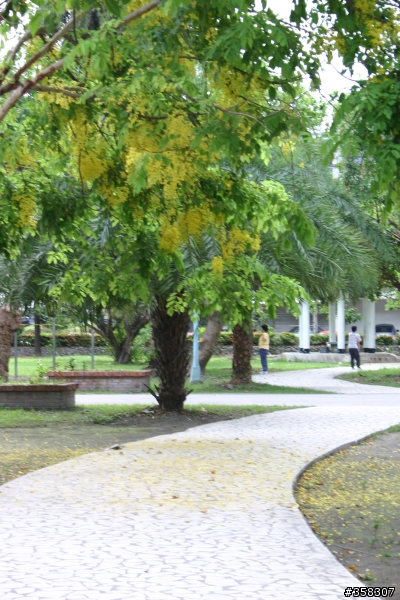 中硫紀念公園