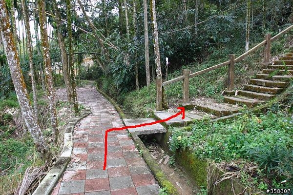 魚池尖登山步道