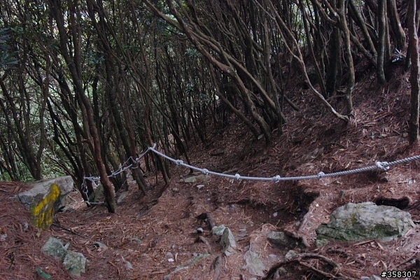 和平:小百岳~稍來山、鳶嘴山、稍來南峰