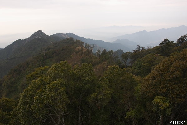 和平:小百岳~稍來山、鳶嘴山、稍來南峰