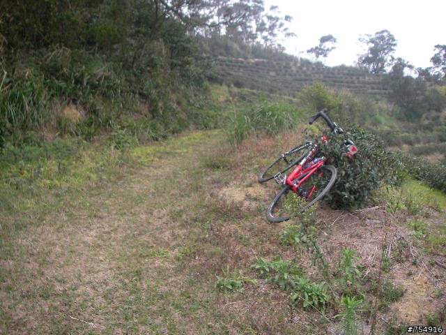 wr5630公路車off road楊梅後山