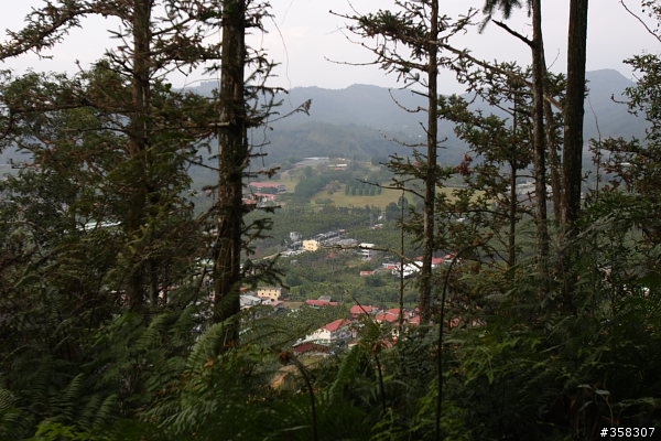 魚池尖登山步道