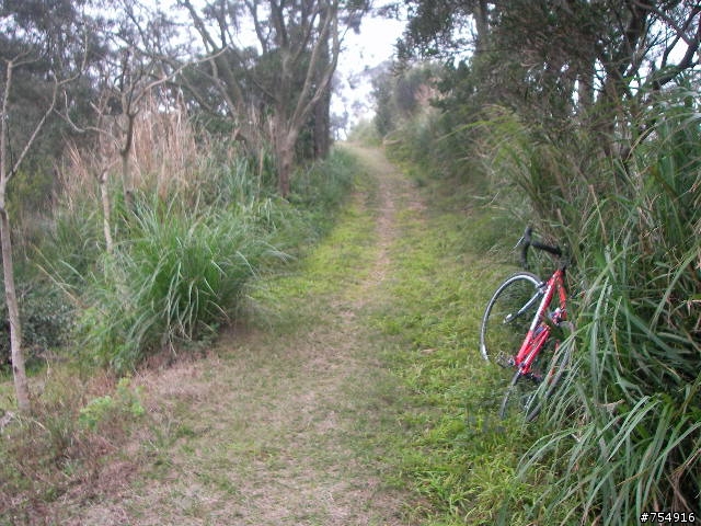 wr5630公路車off road楊梅後山