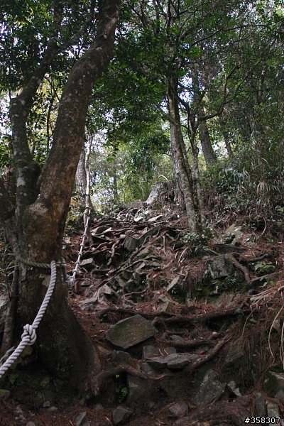 和平:小百岳~稍來山、鳶嘴山、稍來南峰