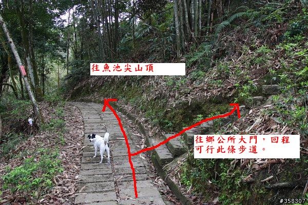 魚池尖登山步道