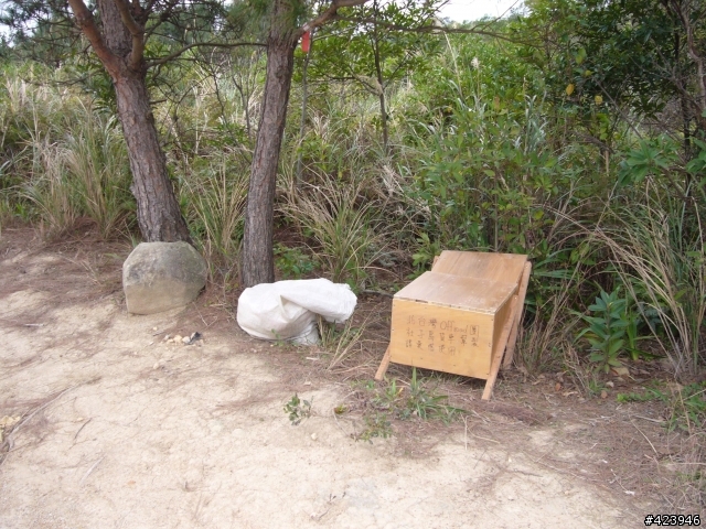 社子島貨車幫之丹鳳山碗型廣場小跳台