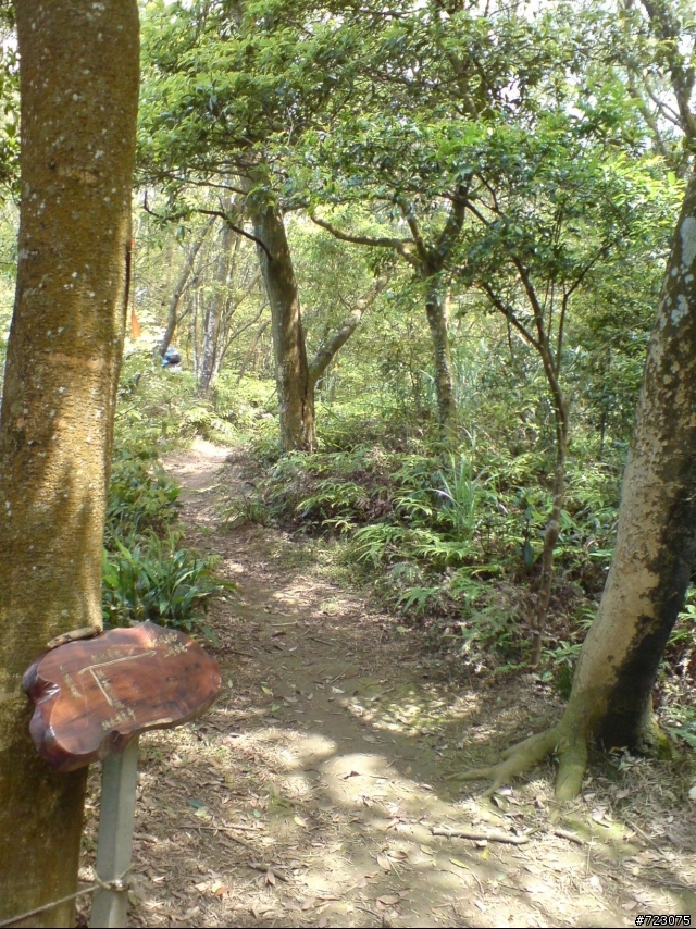 跟著鬥鬥遊的路線我們也去騎三通嶺