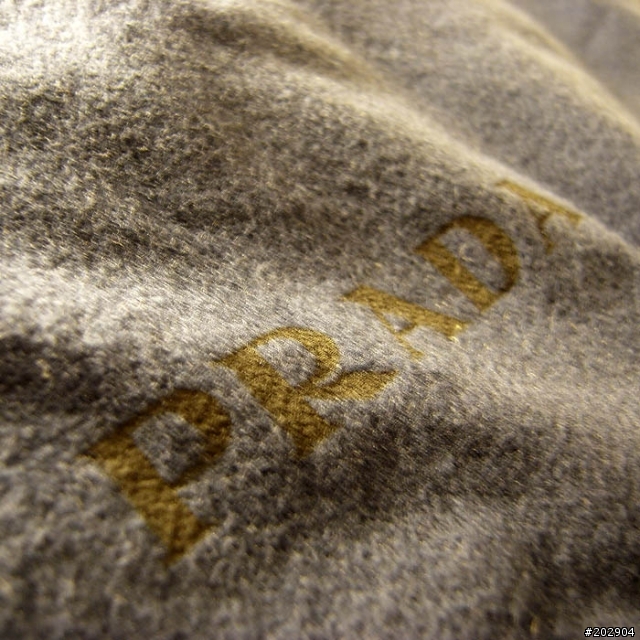 。背Prada的Porter。圖多:)