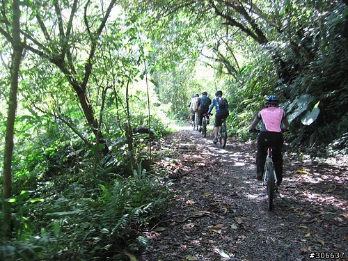 2008/4/5 西坑林道+加九寮步道,XC路線Off road