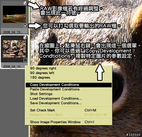 Let's Raw, G9! 簡易教學~使用Raw Image Task修改RAW檔。