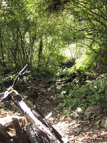 2008/4/5 西坑林道+加九寮步道,XC路線Off road