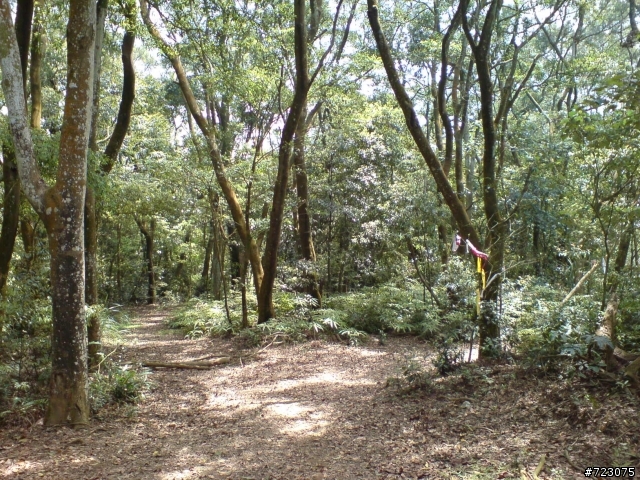 跟著鬥鬥遊的路線我們也去騎三通嶺