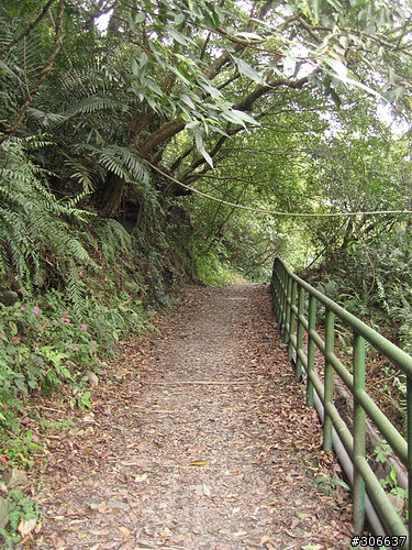 2008/4/5 西坑林道+加九寮步道,XC路線Off road