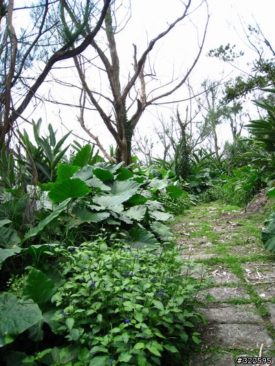 [遊記]輕鬆完成環島心願~~~噓....綠島啦^_^