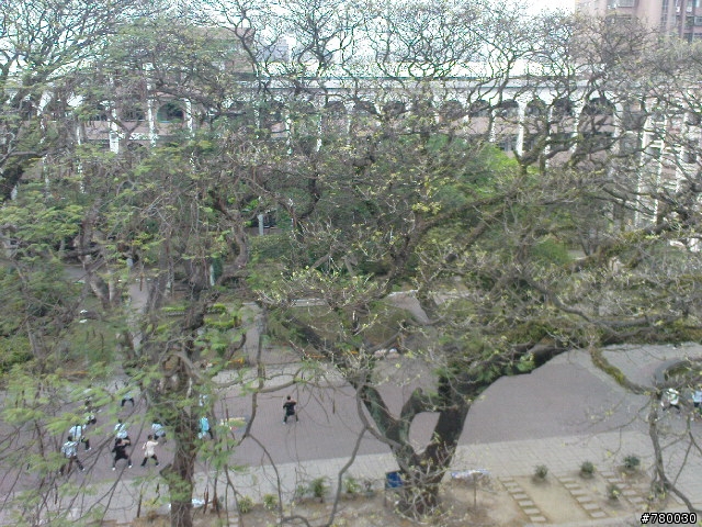 K770I + W610I 試拍