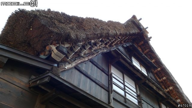用LX2紀錄名古屋櫻花