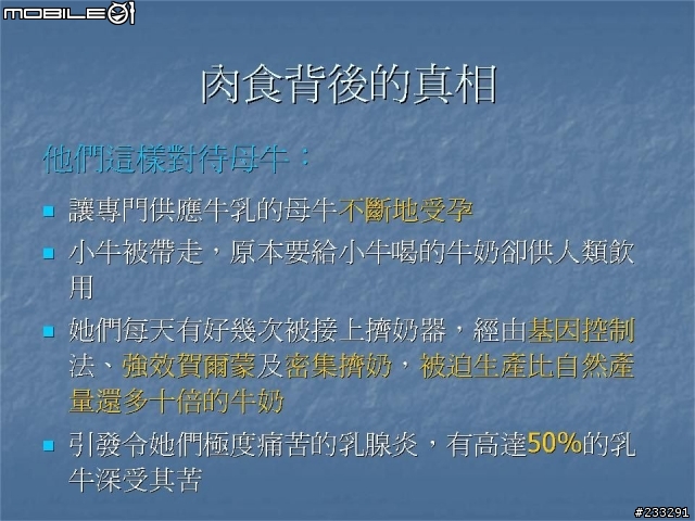 明天過後 你會在哪裏??(極為重要)