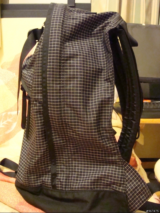 【分享】我的人生第一個後背包 GREGORY day pack