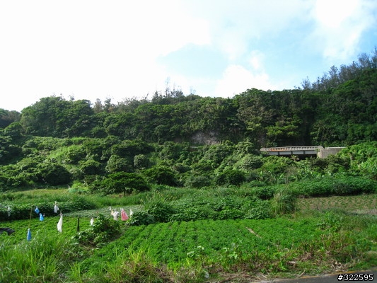 [遊記]輕鬆完成環島心願~~~噓....綠島啦^_^