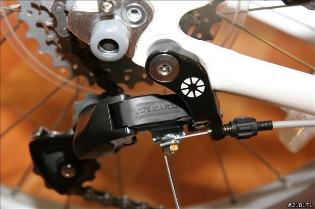 選擇女王用車的決定--DAHON Roo D7