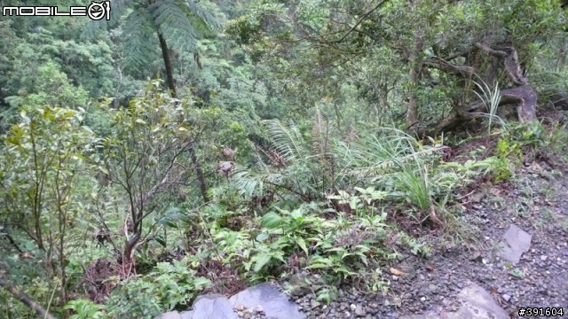 Sam的第一次山路單車之旅(台北木柵~礁溪+1/10 offroad 的跑馬古道)