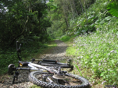 2008/4/5 西坑林道+加九寮步道,XC路線Off road