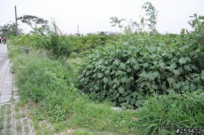 D300就是要這樣配啦!幾個問題想順便請教一下大家...