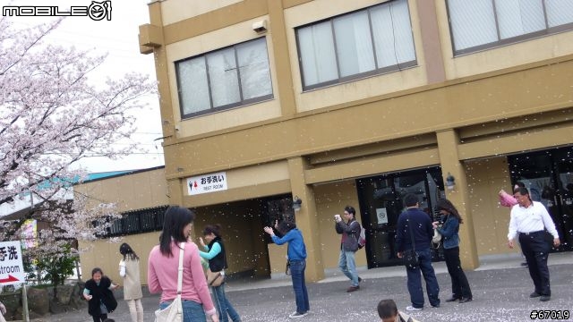 用LX2紀錄名古屋櫻花