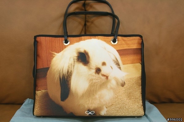 千呼萬喚 終於讓我等到嚕 Anya Hindmarch 訂製相片包