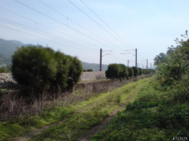 跟著鬥鬥遊的路線我們也去騎三通嶺