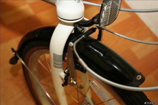 選擇女王用車的決定--DAHON Roo D7