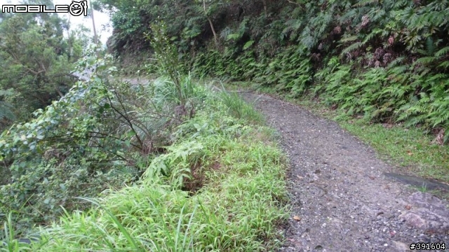 Sam的第一次山路單車之旅(台北木柵~礁溪+1/10 offroad 的跑馬古道)