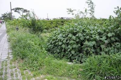D300就是要這樣配啦!幾個問題想順便請教一下大家...