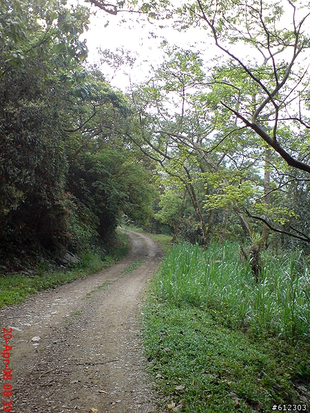 4/27(日)7:30 殘廢團~賞桐花路線→五公山