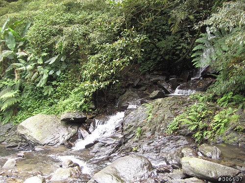 2008/4/5 西坑林道+加九寮步道,XC路線Off road