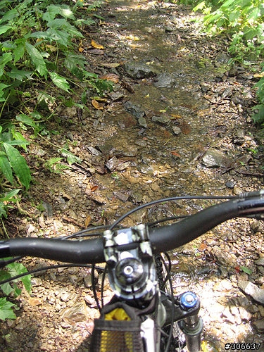 2008/4/5 西坑林道+加九寮步道,XC路線Off road