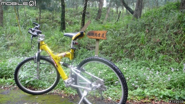 Sam的第一次山路單車之旅(台北木柵~礁溪+1/10 offroad 的跑馬古道)