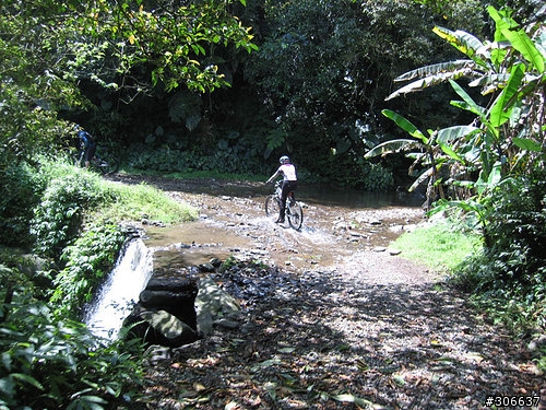 2008/4/5 西坑林道+加九寮步道,XC路線Off road