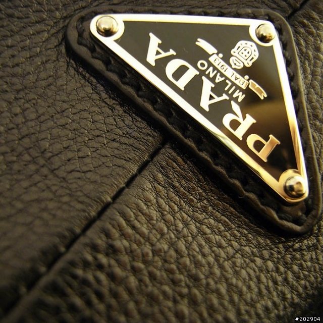 。背Prada的Porter。圖多:)