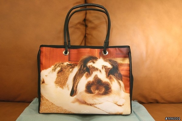 千呼萬喚 終於讓我等到嚕 Anya Hindmarch 訂製相片包