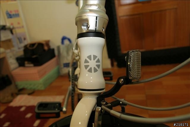 選擇女王用車的決定--DAHON Roo D7