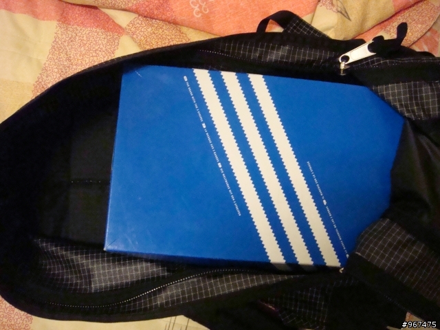【分享】我的人生第一個後背包 GREGORY day pack