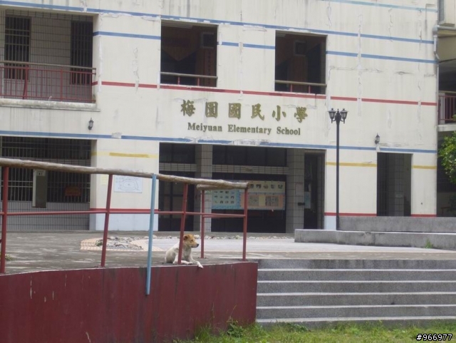 發現之旅...