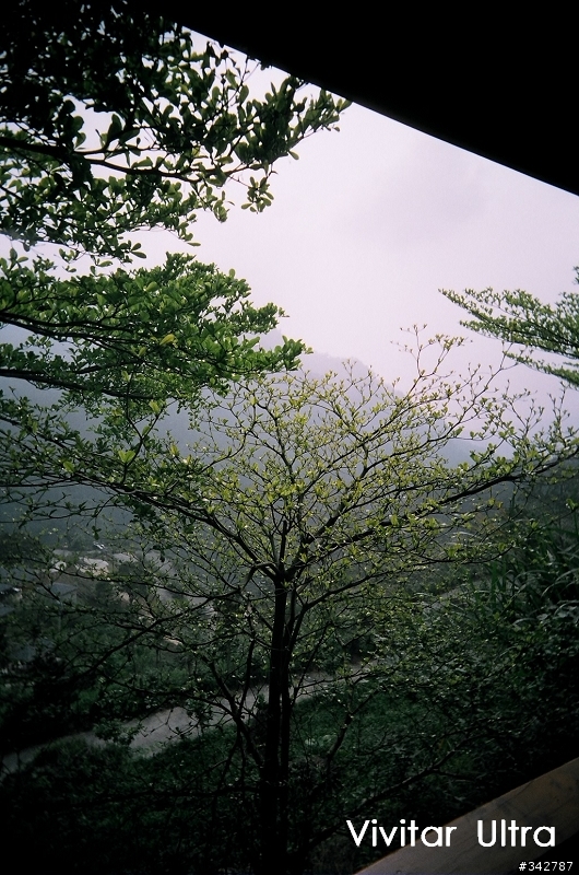 超便宜廣角+仿LOMO+全片幅ViVitar Ultra wide&slim開箱及實拍