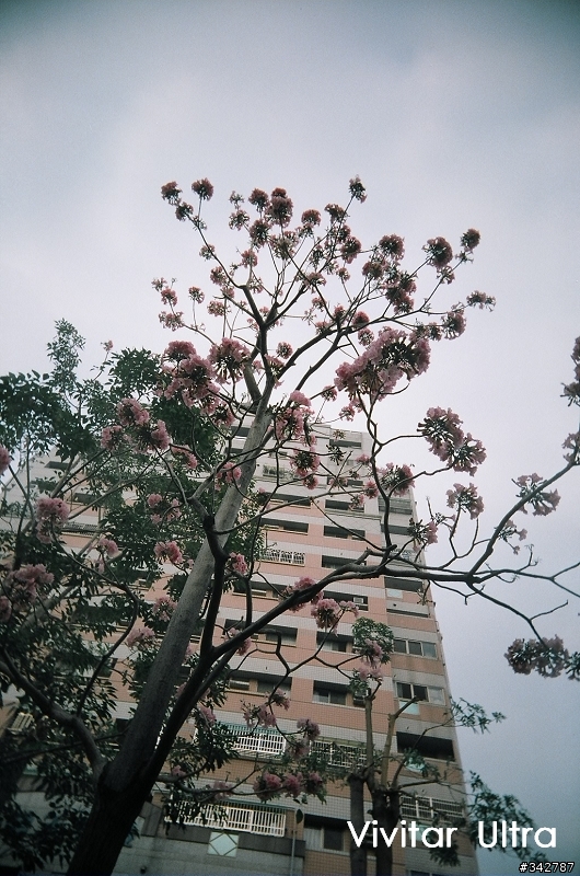 超便宜廣角+仿LOMO+全片幅ViVitar Ultra wide&slim開箱及實拍