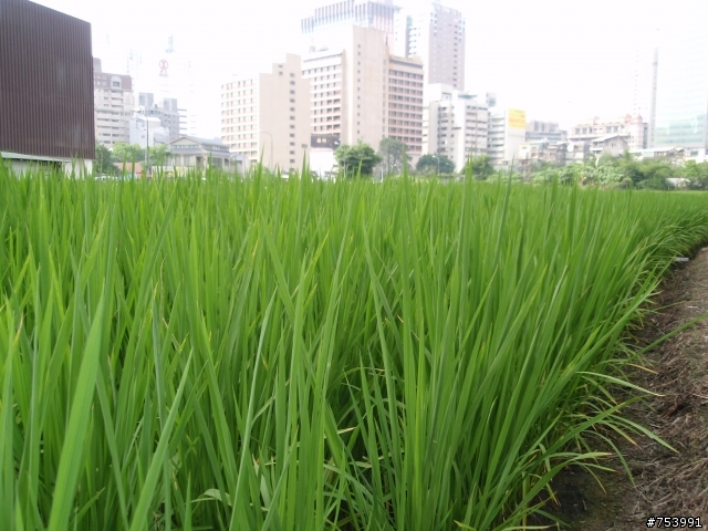 OLYMPUS u840 開箱文。第一次給了OLYMPUS