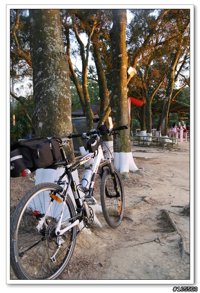 大崗山單車行-自行車道篇